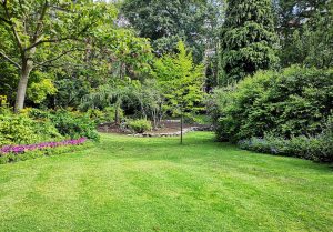 Optimiser l'expérience du jardin à Villers-Sire-Nicole